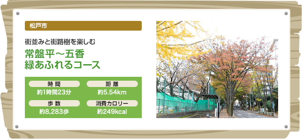 松戸市 街並みと街路樹を楽しむ 常盤平～五香 緑あふれるコース